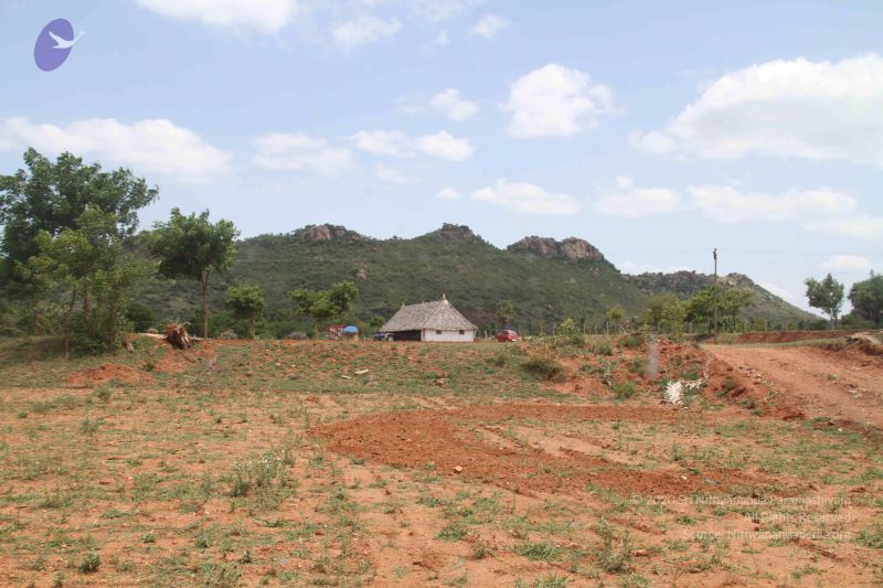 File:20120724 Photo 1302 1BSNmh2Tra4Ns-whiizYW1KoIc2BcZbgw.JPG