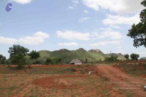 20120724 Photo 1304 1ZhIg-SdvT0TduSmNRqAq-4EGW0saLrBG.JPG