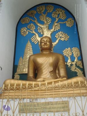 20120727 Photo 1007 14Mi0ZVO yWAffk7Z6liCsA7r19wD1xWI.JPG