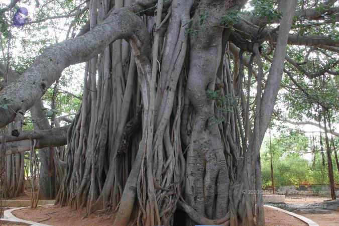 20120727 Photo 1011 1J3q819MV d7u7QnWqI21dI3quEq8sdBy.JPG