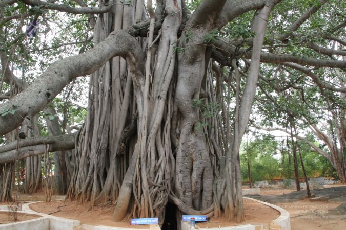 20120801 IMG 5089-2401.jpg