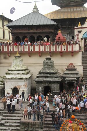 20120801 IMG 5904-1201.jpg