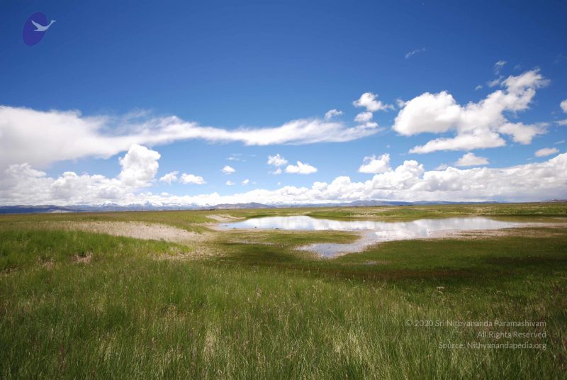 File:20120810 Photo 1012 1j RvrIy8WYSzDzede3KLzWgoeiWmCB0W.JPG