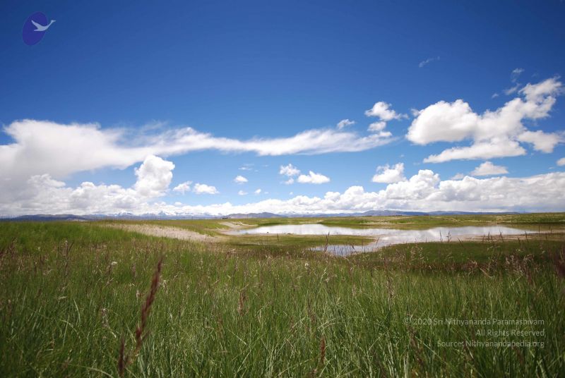 File:20120810 Photo 1013 1SP9CUx5xWMAUQLdq24L 3-u2luZibq9g.JPG