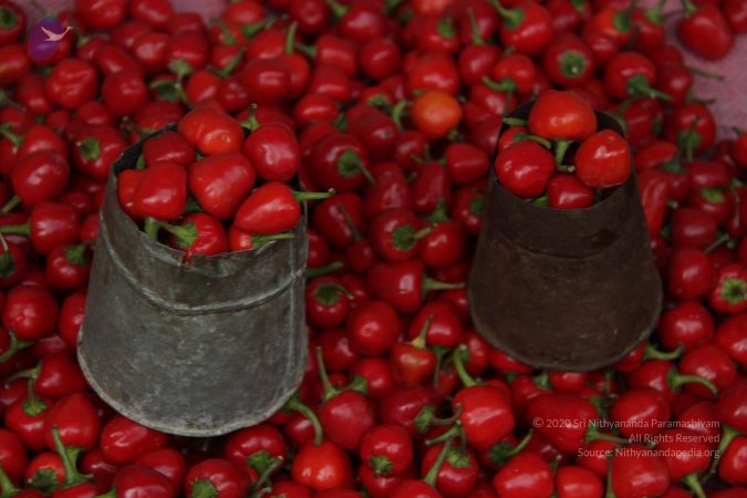 20120812 Photo 1077 1vMGUG42owt qtZ-y-t4y5FwoK aZ5sDg.JPG