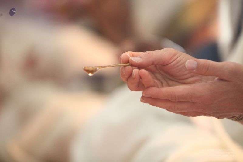 File:20120822 IMG 9511-0701.jpg