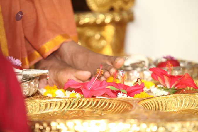 20120824 IMG 0099-0701.jpg