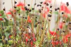 20120825 IMG 0327-2301.jpg