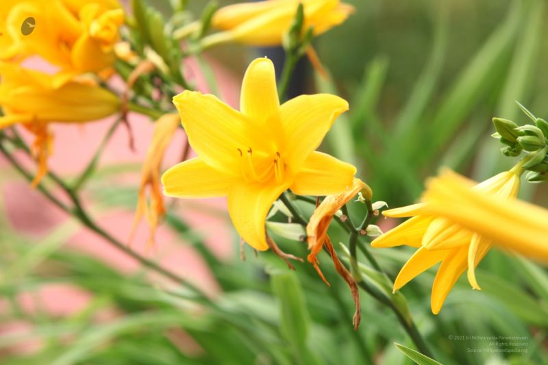 File:20120825 IMG 0331-2401.jpg