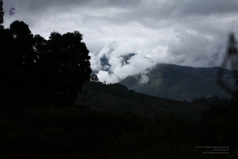 File:20120825 IMG 0352-3801.jpg