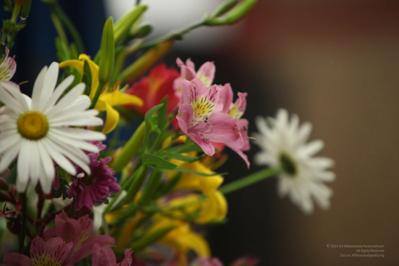 File:20120825 IMG 0356-4101.jpg