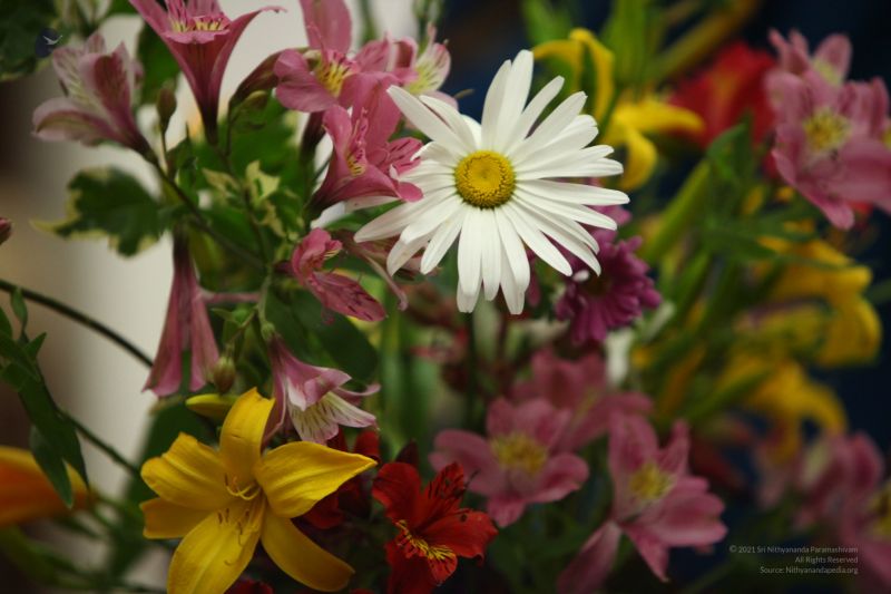 File:20120825 IMG 0357-4201.jpg