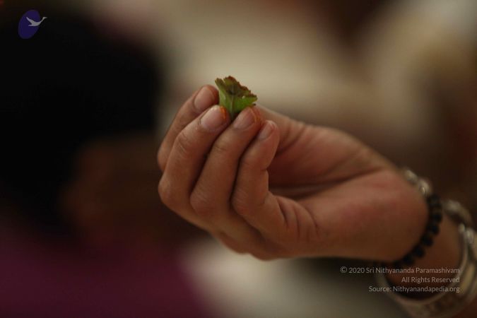 20120903 Photo 1027 19y3FUlbi-s70o9Q-n3bQHLvr5P551DrU.JPG