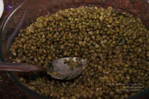 20120903 Photo 1053 1op7 GLmS11 l7mFGAdwhk-Fu4NlO5X8k.JPG