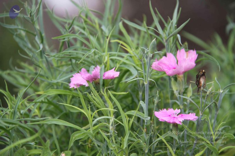 File:20120903 Photo 1072 1QWnvIWfEUTv-epXyAKqfxMLnnEqB7XOu.JPG