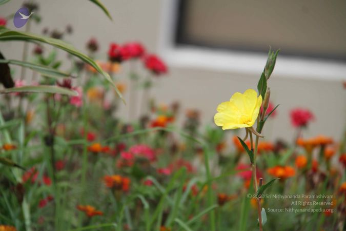 20120903 Photo 1091 1lnfz3wAw8lGb8g8c0q8aaWyPreeMNkDZ.JPG