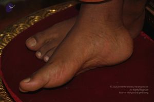 20120904 Photo 1369 1h6sD1jmg0OSzAVx-UC4Eh54NRT7dS9LY.JPG