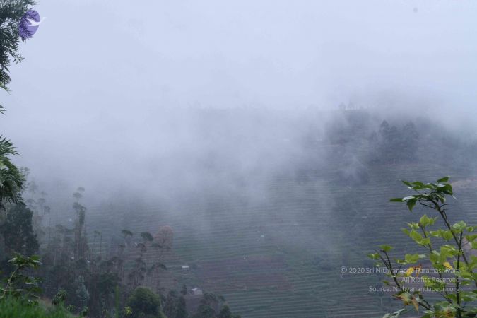 20120908 Photo 1276 1qHvQ2qDi3xl5MU4NnsEb3rgSRRyG1Ap1.JPG