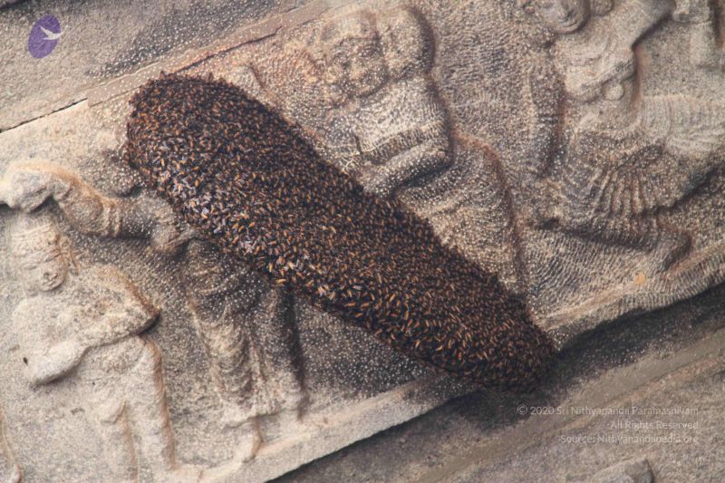 File:20120912 Photo 1133 1jSmcZjpi5DbSiKZIZx2f F95HDRWwPQV.JPG