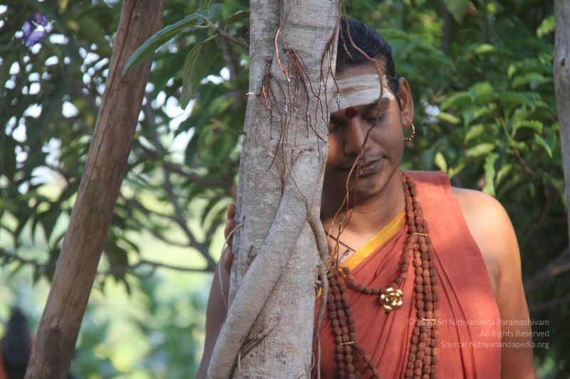 File:20120913 Photo 1023 1z4fFQZAGEuGCvGG9MKnqhh-QRbeoRDYy.JPG