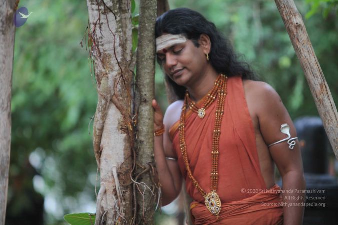 20120914 Photo 1032 1gkv8BMIUCjdBFfvE G eFmGccXrJ f35.JPG