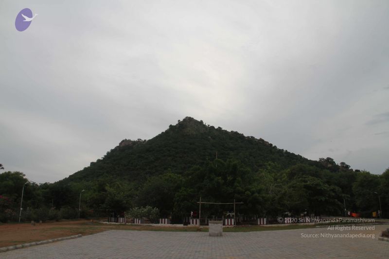 File:20120915 Photo 1000 1sr9YbFdPYvDoNWO3g4YVo9tBe2fy9j~.JPG