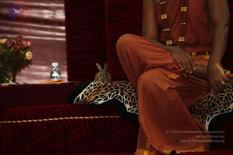 File:20120915 Photo 1239 128h7GAOgZcCLqhnc1clial1LnF9HCoxg.JPG