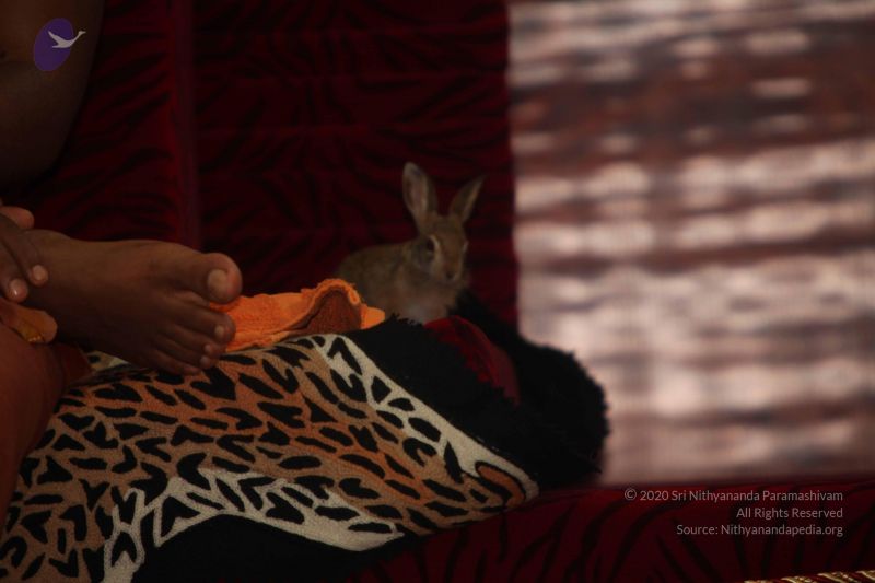 File:20120915 Photo 1243 1RXI9zLVruPrhFlycdKuMdUbQV3ebgVEA.JPG