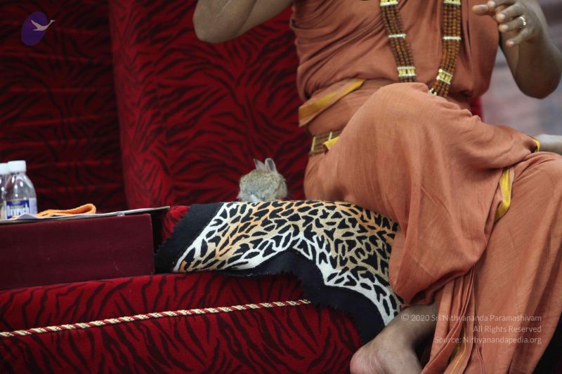 File:20120915 Photo 1247 1v5cZPeB3XEPOpSG8ttGwPxP-G44YbazA.JPG