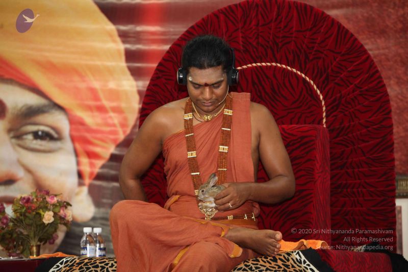 File:20120915 Photo 1250 1kDTonhkpfmfU-6v64XGVVaz9ILQxwzMg.JPG