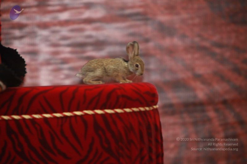 File:20120915 Photo 1256 1fv4TYT2J2C99bBVMwPKLKDQJjrewYxK .JPG