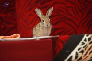 20120915 Photo 1258 1NoZ87joevRumAR4Cem0T17oywW6N3Feb.JPG