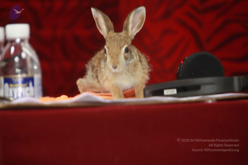 File:20120915 Photo 1262 100cjxacjpZPQl5oCODL5QejCJ1eLtH0P.JPG