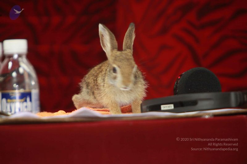 File:20120915 Photo 1263 1tqEMZx3exLKNHo0Kv Q4718hr5xVxcnf.JPG