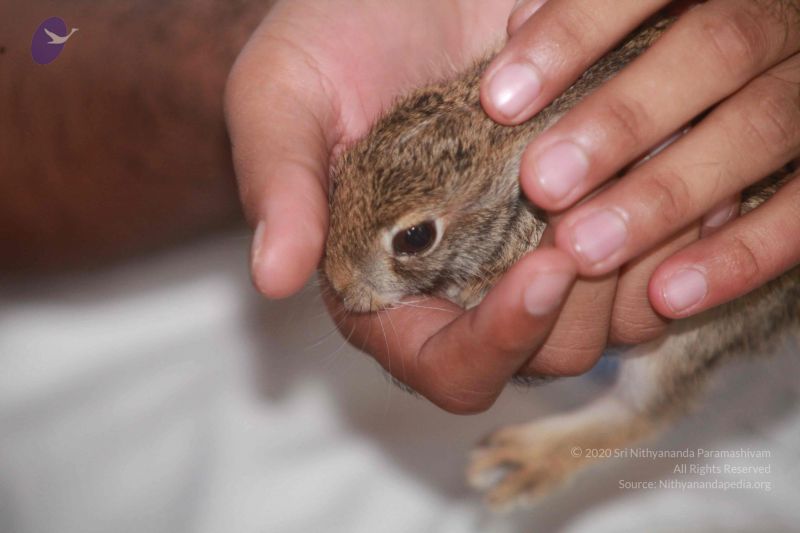 File:20120915 Photo 1267 1YkUcvXVHhKv5RJ9fdGXRgl08l9sL-w3Q.JPG