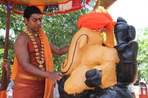 20120919 Photo 1203 1jZKm5jvMgONqljNVCnL067h5buv5NfKt.JPG