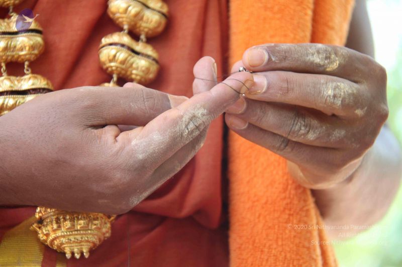 File:20120919 Photo 1282 1YNXPE7wR43vphmYsD5cYyXDruOQnFkUN.JPG