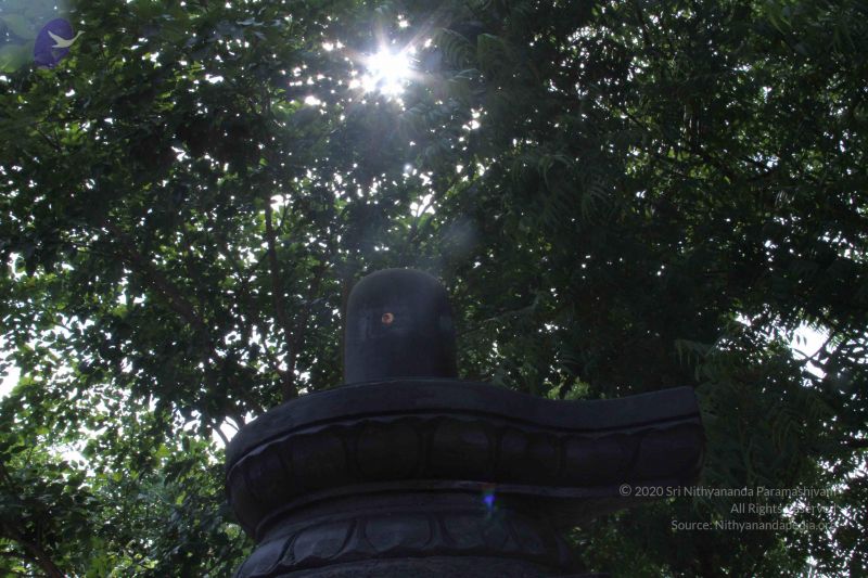 File:20120919 Photo 1356 1bsemrnqVDZ76oaHx6haoBt0aN0E7KmoJ.JPG