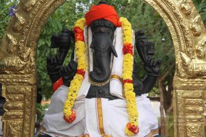 20120919 Photo 1404 1PkJwgCt345FuC1RZbWdvgW3anBGh1knG.JPG