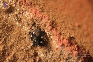 20120919 Photo 1409 1TEYkzuXHbGV7pz9ruDiJ2ac1YVpVuXa2.JPG