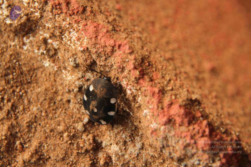 File:20120919 Photo 1409 1TEYkzuXHbGV7pz9ruDiJ2ac1YVpVuXa2.JPG