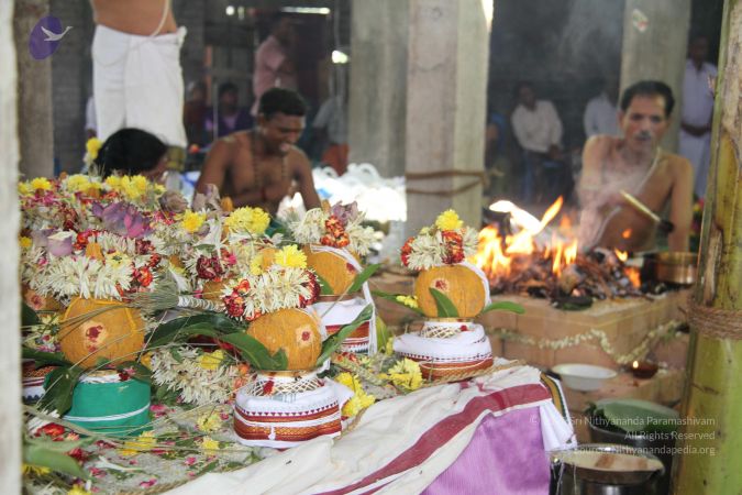 20120924 Photo 1149 1xp165MBUwVsWWEPHXYosBG0OD1mnKOk .JPG