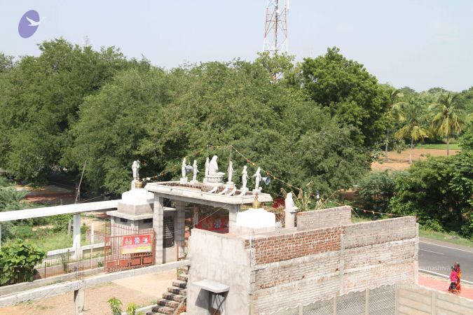 20120924 Photo 1236 1pqS9qKiGUOtOdF4aPHdXvVVNrFq1BtjF.JPG