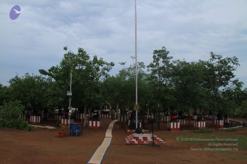 File:20120927 Photo 1006 1AsdPFZf3JVq-pJbGehcC-zPPMu9S0wgo.JPG