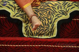 20120927 Photo 1047 1KzLbbIP5ZP7NyUbML8OkzD2uvwaEHp5J.JPG