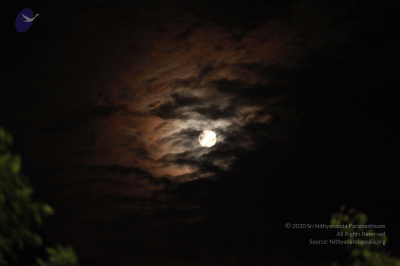 File:20120929 Photo 1253 1BxLqsud6qpveWaZOHWCxTLtxd-ekrXsh.JPG