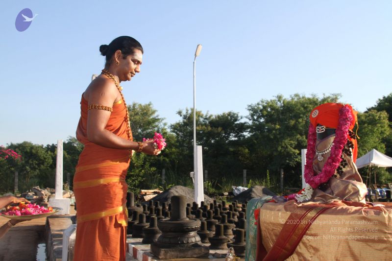 File:20121004 Photo 1009 15dU6U5bvmlphywd-aFPtTyGK4IE TiRz.JPG