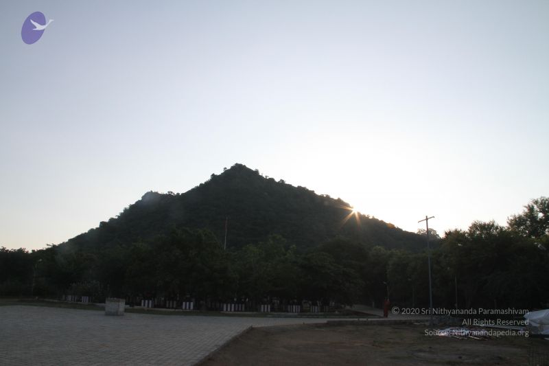 File:20121005 Photo 1000 11S4iv-1UJK6Vva5P5U2SX-TEqHuAv6IO.JPG