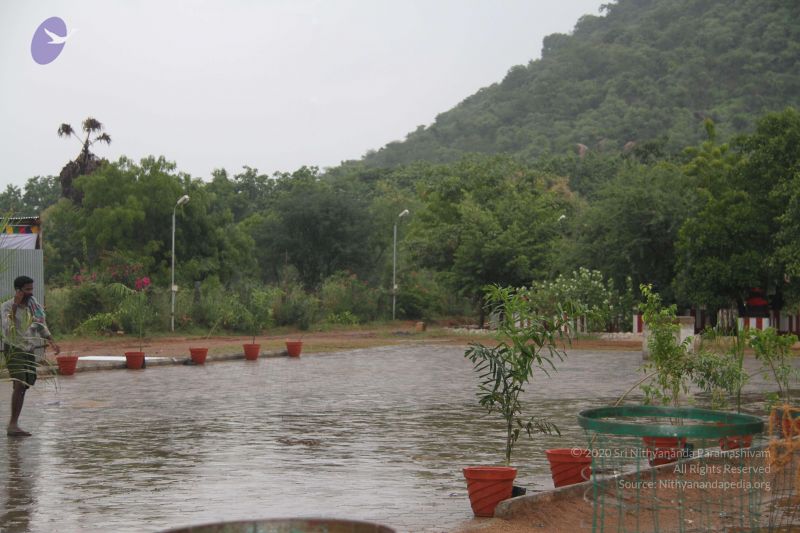 File:20121007 Photo 1026 1Swhs1YGw4AtqlO1jDrmzJ4k1k5We03KV.JPG