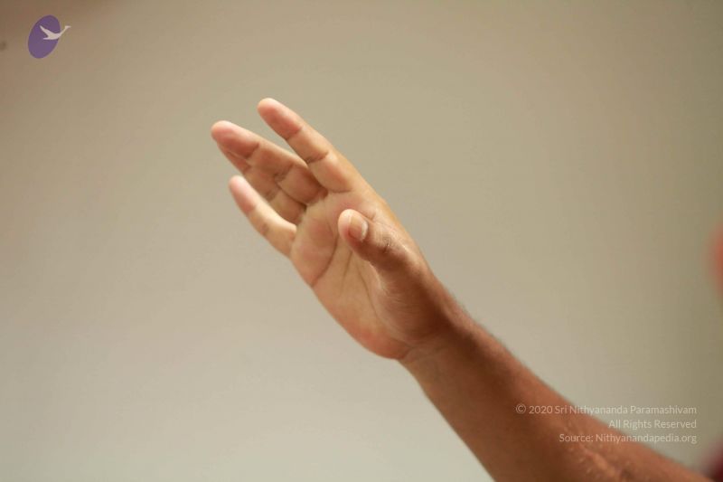 File:20121007 Photo 1231 1dhdGoQaXP7ExNYxO0 iaoJjllRiqHDa2.JPG